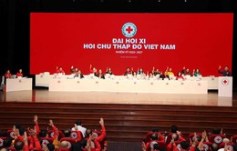 2 chương trình trọng điểm của Hội Chữ thập đỏ Việt Nam nhiệm kỳ mới