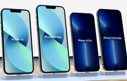 Samsung cung cấp tấm nền OLED cho bốn mẫu iPhone 14