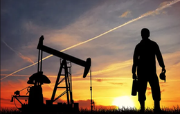 Giá dầu lao dốc mạnh