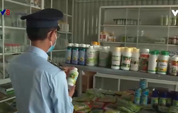 Đắk Lắk: Tăng cường kiểm tra, kiểm soát mặt hàng phân bón