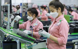 Việt Nam nổi lên như một trung tâm sản xuất mới