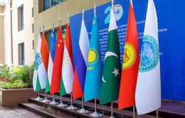Khai mạc Hội nghị thượng đỉnh SCO với kỳ vọng về các đề xuất và sáng kiến đột phá mới