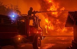 Cháy rừng hoành hành ở vùng Tây Nam nước Pháp