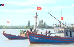Thanh Hóa: Tàu thuyền nhộn nhịp vươn khơi