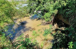Kiến nghị đầu tư khắc phục khẩn cấp tình trạng sạt lở bờ sông Dinh tại Ninh Thuận