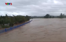 Tình hình sạt lở sông suối ở KonTum