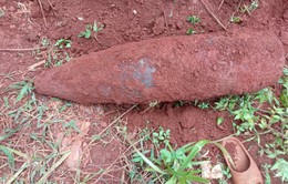 Phát hiện đầu đạn pháo 175mm trong vườn nhà dân ở Bình Phước