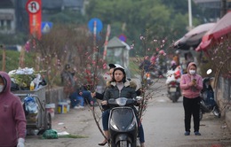 Hà Nội tổ chức 91 điểm chợ hoa phục vụ Tết Quý Mão 2023