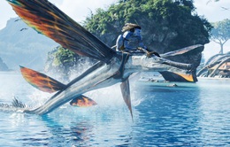 "Avatar: The Way of Water" - phim có doanh thu cao nhất mọi thời đại của Hollywood tại Ấn Độ
