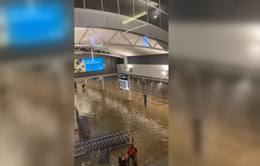 Thành phố Auckland của New Zealand kích hoạt dịch vụ khẩn cấp do mưa lũ