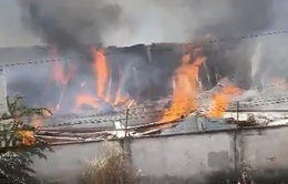 Cháy lớn tại công ty gỗ ở Bình Dương
