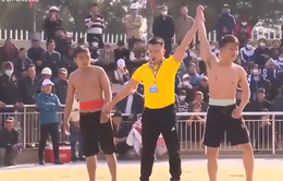 Hội đấu vật truyền thống đầu Xuân ở Quảng Bình