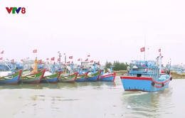Ngư dân Quảng Ngãi vươn khơi đầu năm
