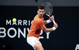 Novak Djokovic vào bán kết Adelaide International