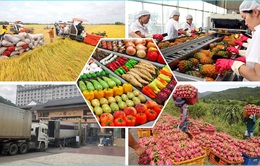Xuất khẩu nông sản đón cơ hội vàng khi Trung Quốc mở cửa
