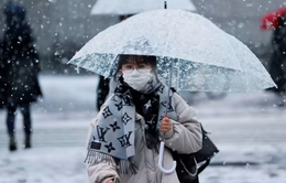 Tuyết rơi dày ở Nhật Bản làm gián đoạn giao thông, nhiều tuyến đường bị đóng cửa
