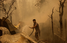 Chile ban bố lệnh giới nghiêm trong bối cảnh cháy rừng nghiêm trọng