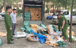 Thu giữ gần 6 tấn sản phẩm động vật bốc mùi hôi thối ở Quảng Trị