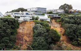 New Zealand ban bố tình trạng khẩn cấp quốc gia do bão mạnh