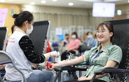 Chương trình Chủ Nhật Đỏ 2023 dự kiến tiếp nhận hàng nghìn đơn vị máu