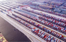 Container rỗng chất đống tại các cảng quốc tế hé lộ điều gì?