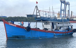 Bà Rịa – Vũng Tàu: Tạm giữ tàu chở 25.000 lít dầu DO không rõ nguồn gốc