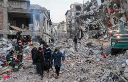 Gần 44.000 người thiệt mạng trong thảm họa động đất tại Thổ Nhĩ Kỳ và Syria