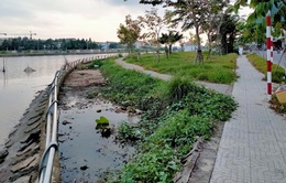 Hồ điều tiết nước lớn nhất Cần Thơ thành nơi chứa rác