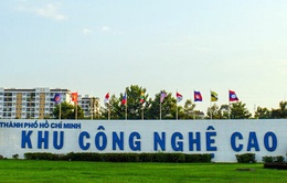 TP Hồ Chí Minh giảm tiền thuê đất, thuê mặt nước cho người bị ảnh hưởng COVID-19