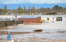New Zealand thiệt hại nặng do bão Gabrielle