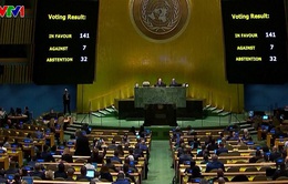 Nghị quyết Liên hợp quốc về xung đột Nga - Ukraine