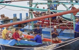 Việt Nam nỗ lực gỡ thẻ vàng thủy sản