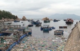 Làng biển bị biến thành... làng rác