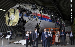 Australia đình chỉ điều tra vụ bắn rơi máy bay MH17