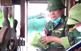 Quảng Bình bắt giữ tàu đánh cá của ngư dân Nghệ An tàng trữ vật liệu nổ trái phép