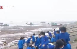 Tuổi Trẻ Thanh Hoá chung tay giữ màu xanh cho biển