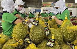 Thách thức xây dựng thương hiệu trái cây Việt tại Trung Quốc
