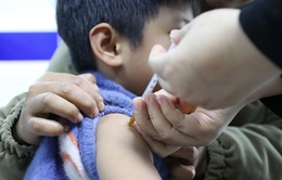 Lào Cai: Hơn 200 trường hợp tiêm vaccine phòng dại trong 2 tháng đầu năm