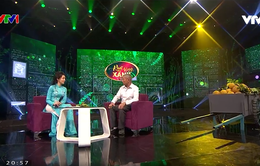"Khát vọng xanh" mở màn series "Tự hào giai điệu Việt Nam" trên sóng VTV1