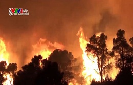 Cháy rừng nghiêm trọng ở Tây Ban Nha