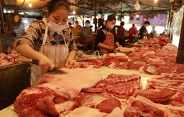 Giá thịt lợn hơi xuống dưới 50.000 đồng/kg
