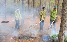 Cảnh báo cháy rừng cấp cực kỳ nguy hiểm ở Tây Nguyên