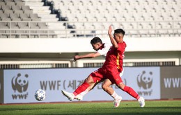 U18 Seoul Eou Cup 2023: U18 Việt Nam thất bại trước đội bóng hàng đầu châu Phi