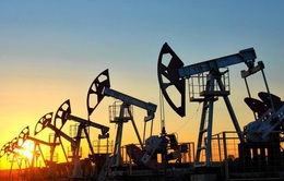 OPEC+ sẽ không sớm có động thái hạ nhiệt giá dầu