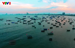 Nhộn nhịp Cảng cá Thọ Quang - Đà Nẵng