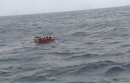 Cứu nạn kịp thời 14 thuyền viên bị chìm tàu trên biển trong thời tiết đặc biệt xấu