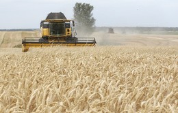 FAO: Sản lượng nông nghiệp thiệt hại 3.800 tỷ USD do các thảm họa