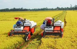 Việt Nam đảm bảo an ninh lương thực trong mọi tình huống