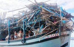 Thủ tướng Chính phủ chỉ đạo khẩn trương tìm kiếm, cứu nạn ngư dân trên 2 tàu cá bị chìm