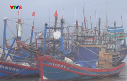 Quảng Ngãi kêu gọi tàu thuyền vào nơi neo đậu tránh trú